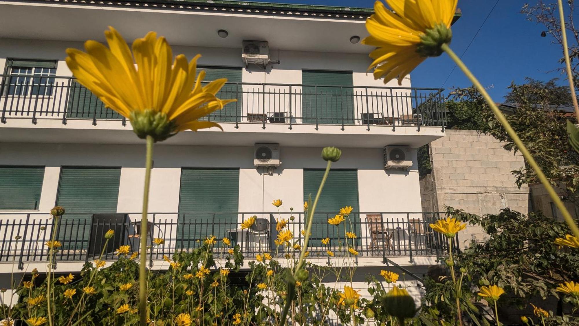 Hotel Casa Do Olival Peso da Régua Exteriér fotografie