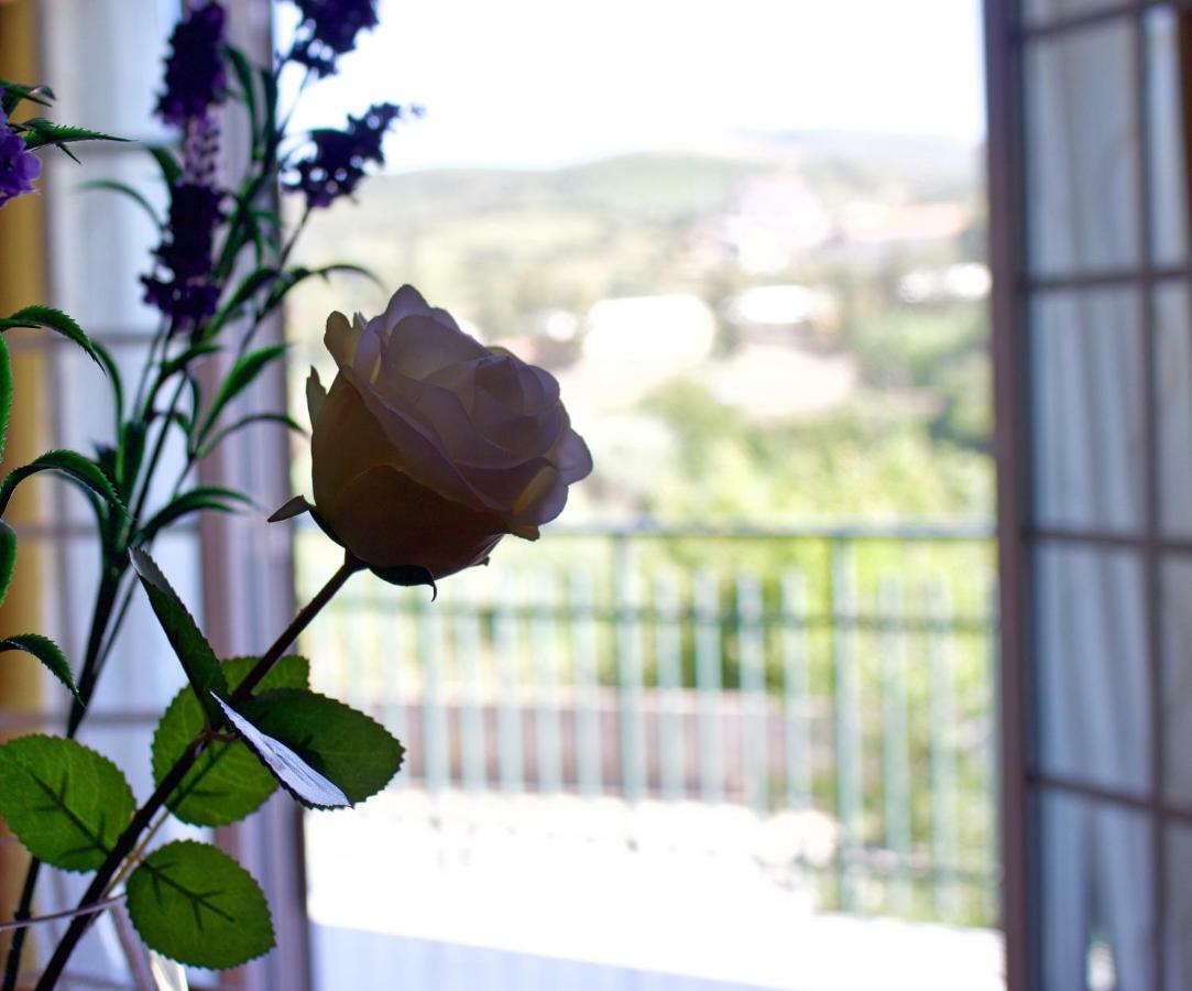 Hotel Casa Do Olival Peso da Régua Exteriér fotografie